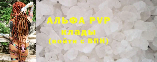 индика Сафоново
