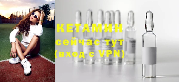 хмурый Верея