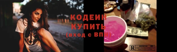 хмурый Верея