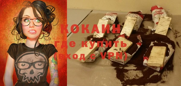 хмурый Верея