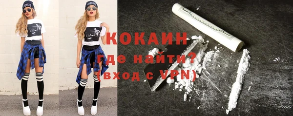хмурый Верея