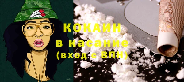 хмурый Верея
