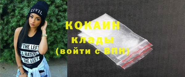 хмурый Верея
