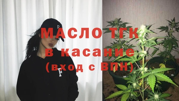 хмурый Верея