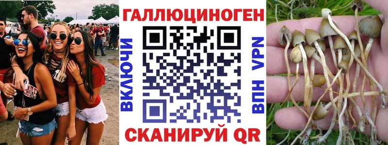 Псилоцибиновые грибы мицелий  где найти наркотики  Островной 